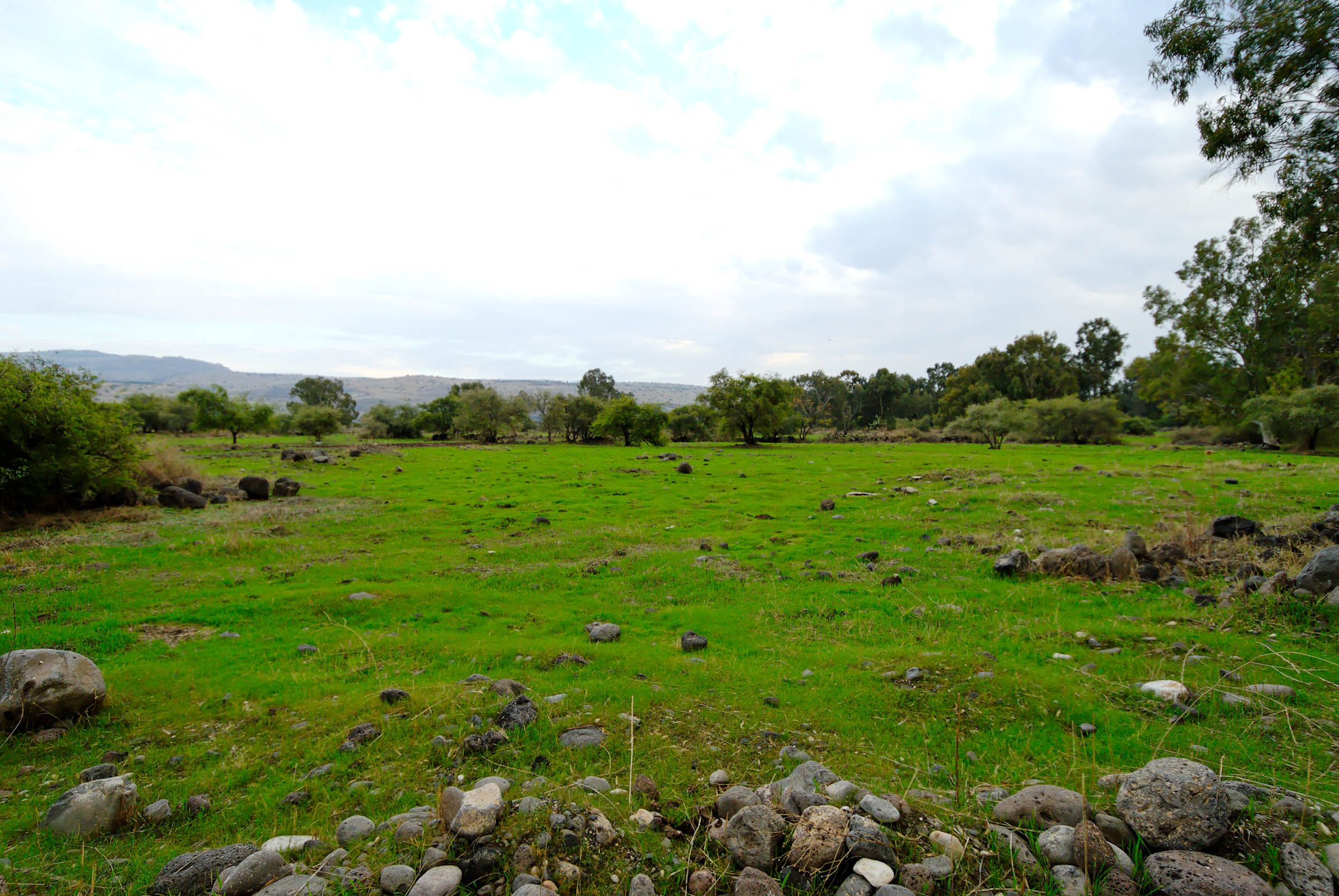 Plain of Bethsaida - suggested location where 5000 saw the works of Yeshua and were fed (Mark 6). Courtesy of the [Pictorial Library of Bible Lands](https://www.bibleplaces.com)