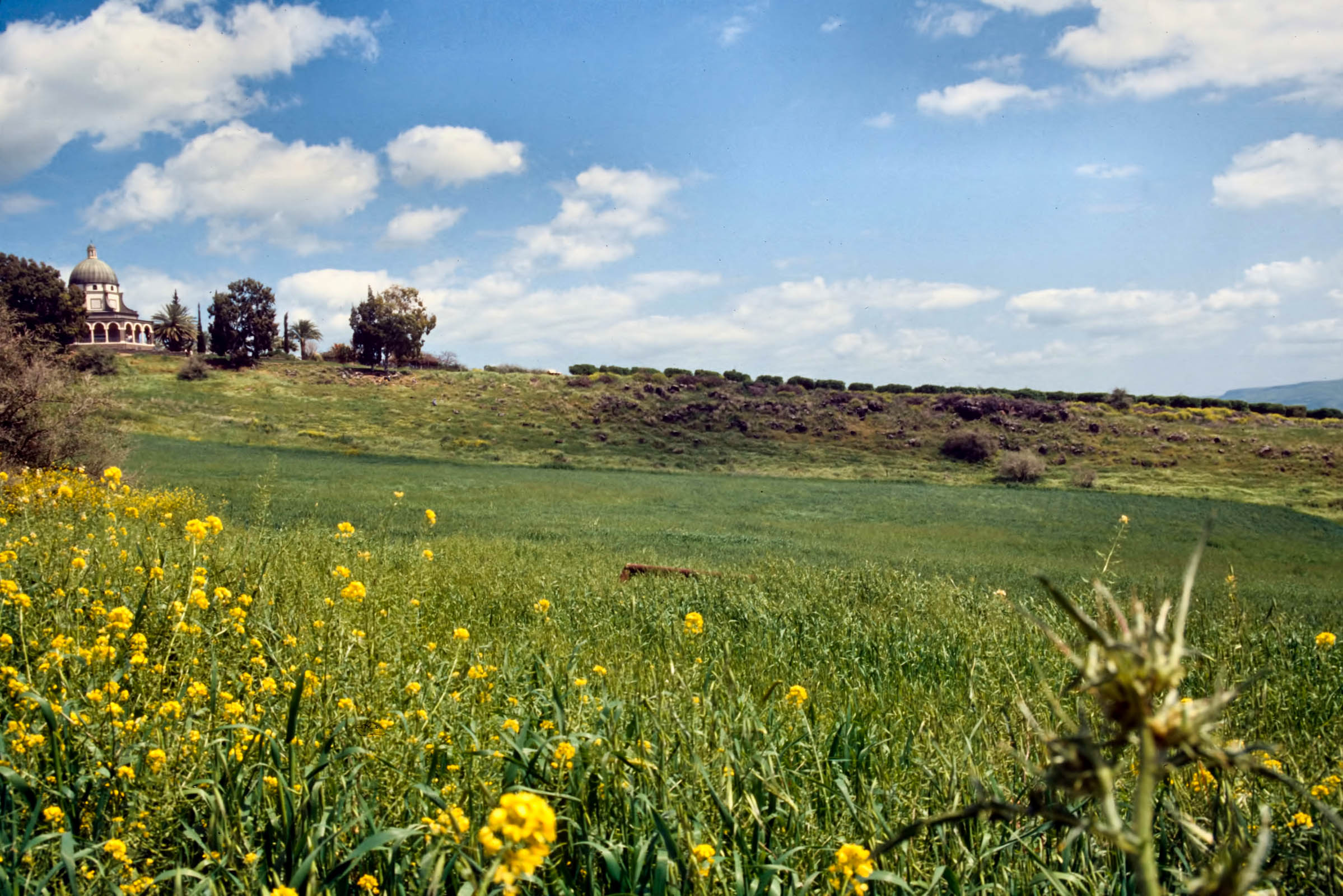 Mount of Beatitudes hillside reflecting the beauty of the Galilee region. Courtesy of the [Pictorial Library of Bible Lands](https://www.bibleplaces.com)